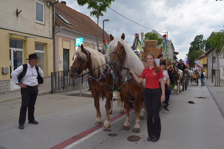Fotografije Srečko Šajn (16)
